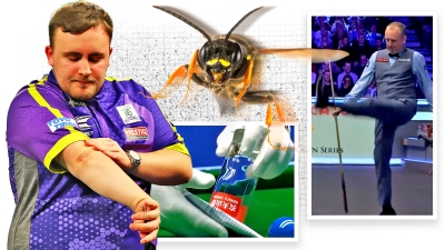 the ally pally wasp